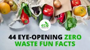 44 Zero Waste Facts