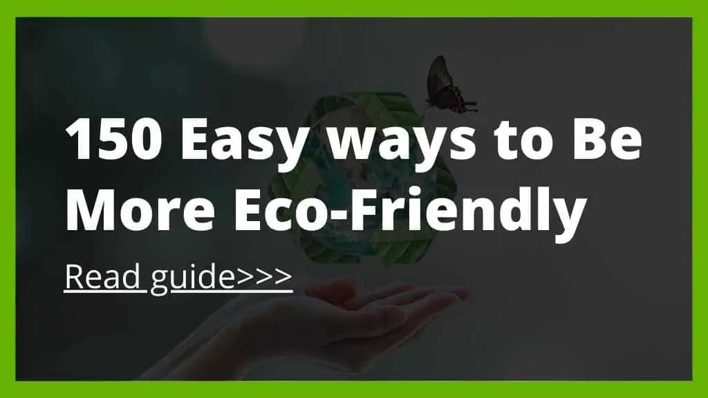 How to Be More Eco Friendly