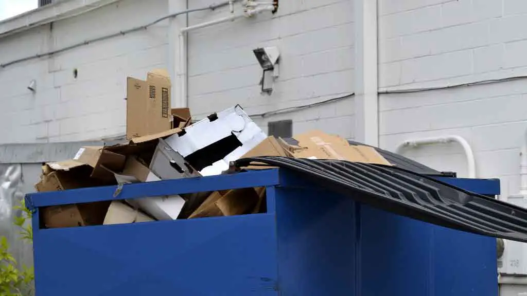 Best places to dumpster dive in Florida