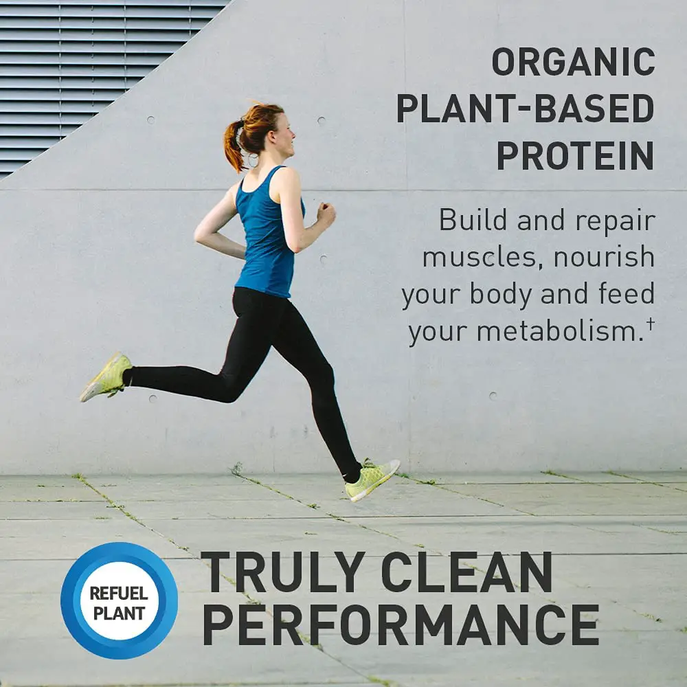 organic plant-based protein - Is plant-based organic protein powder good for you