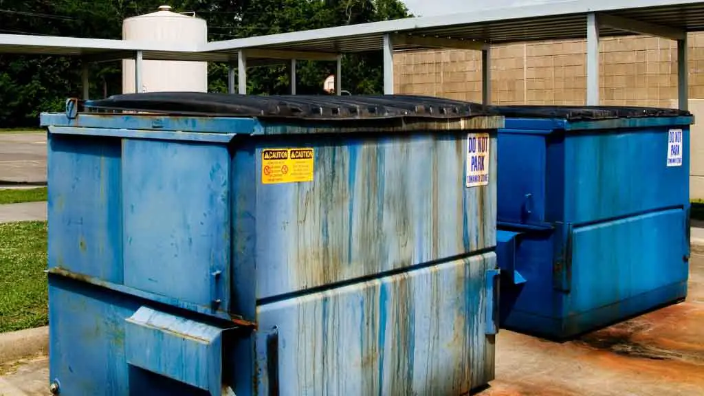 Best Places to Go Dumpster Diving in California