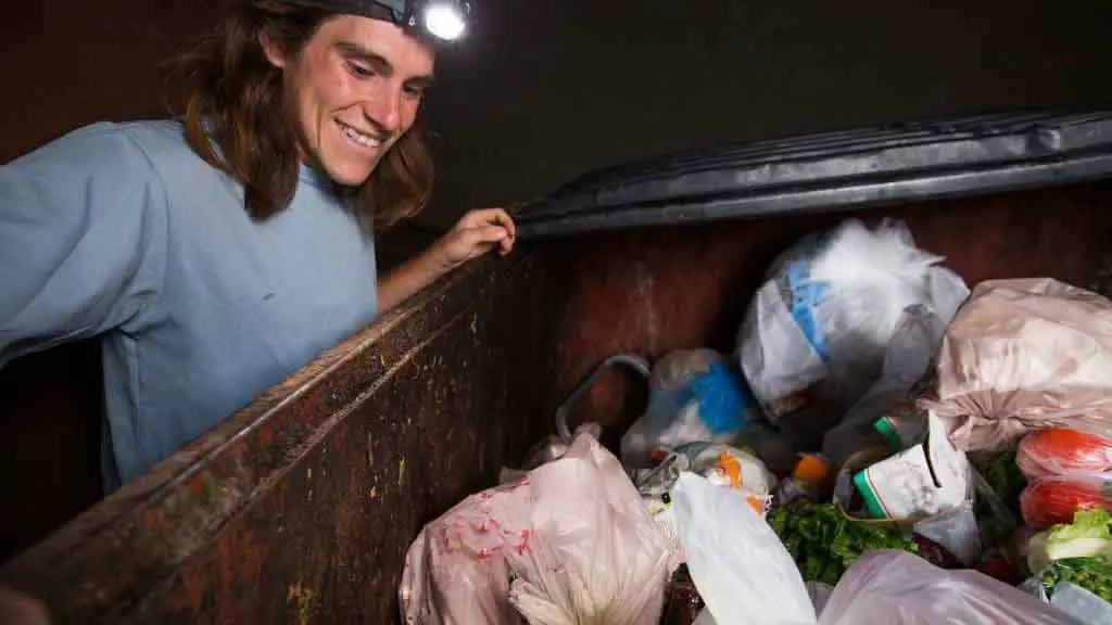 Is dumpster diving illegal in Texas? - An extensive overview - Eco Friendly Fact