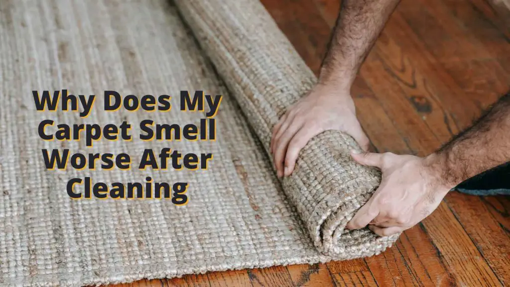 Why Does My Carpet Smell Worse after Cleaning