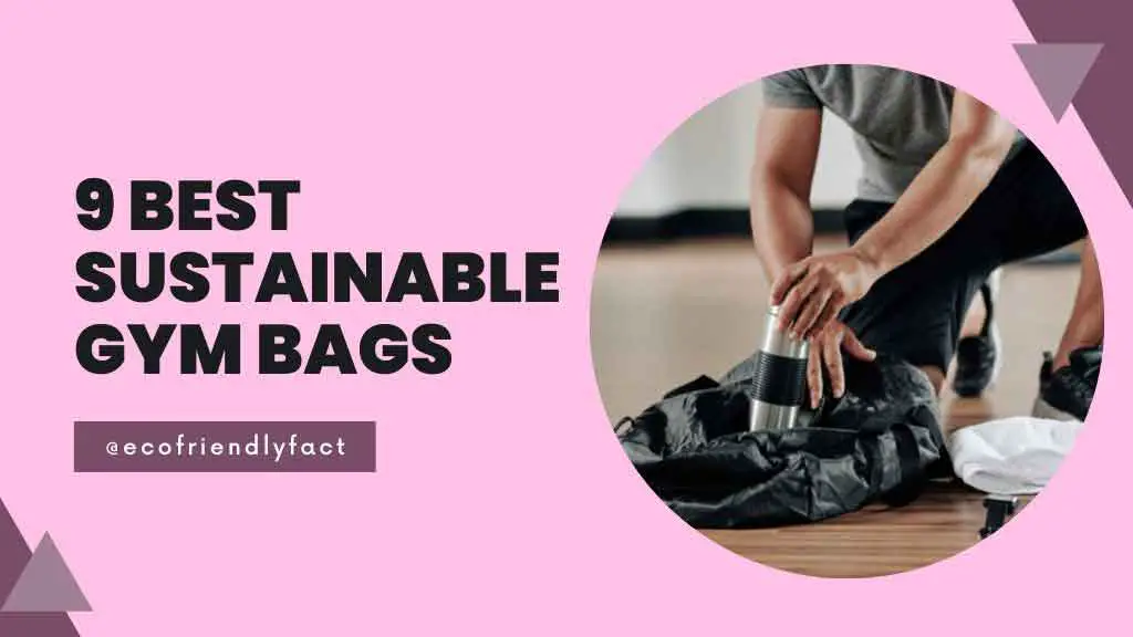 Sustainable gym bag