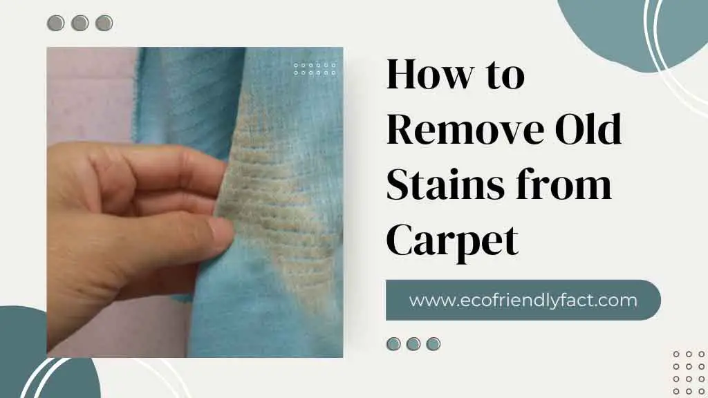 How to Remove Old Stains from Carpet