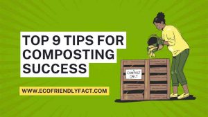 Tips for Composting Success