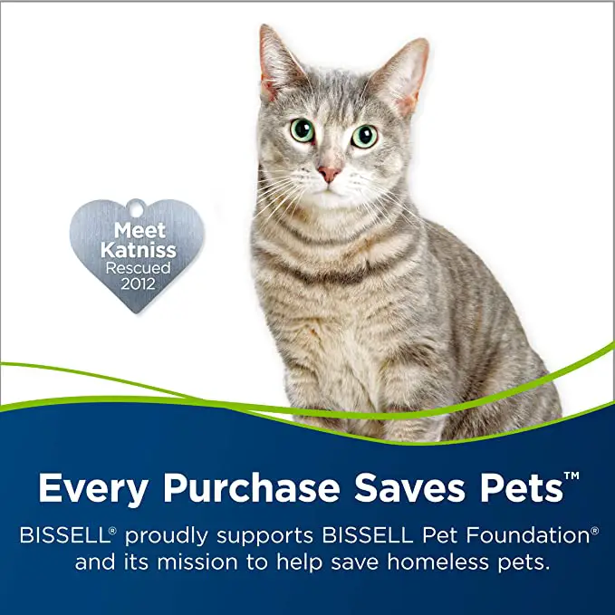 Bissell Pet Hair Eraser Review Buying Guide
