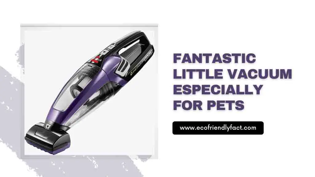 Bissell Pet Hair Eraser Review