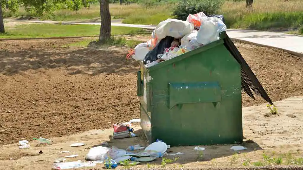 Tips for Dumpster Diving in Iowa